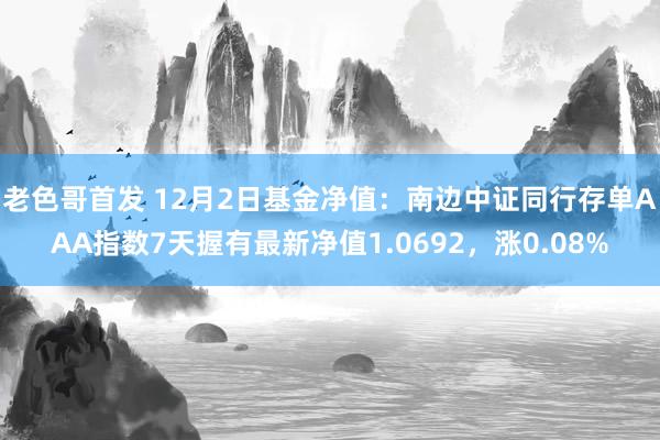 老色哥首发 12月2日基金净值：南边中证同行存单AAA指数7天握有最新净值1.0692，涨0.08%