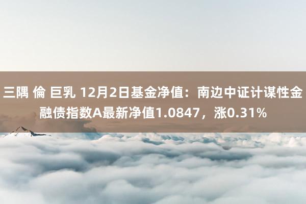 三隅 倫 巨乳 12月2日基金净值：南边中证计谋性金融债指数A最新净值1.0847，涨0.31%