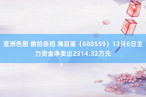 亚洲色图 偷拍自拍 海目星（688559）12月6日主力资金净卖出2314.32万元