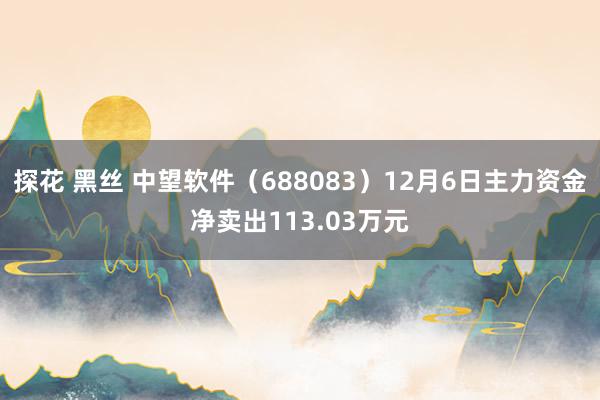 探花 黑丝 中望软件（688083）12月6日主力资金净卖出113.03万元