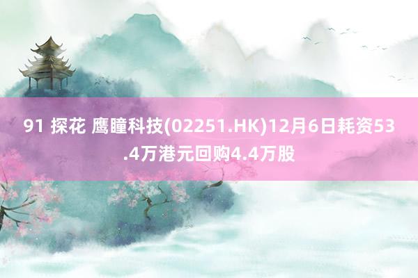 91 探花 鹰瞳科技(02251.HK)12月6日耗资53.4万港元回购4.4万股