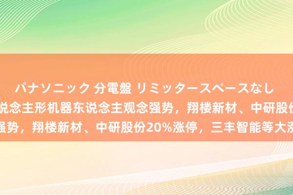 パナソニック 分電盤 リミッタースペースなし 露出・半埋込両用形 东说念主形机器东说念主观念强势，翔楼新材、中研股份20%涨停，三丰智能等大涨