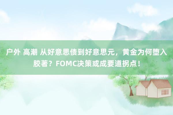 户外 高潮 从好意思债到好意思元，黄金为何堕入胶著？FOMC决策或成要道拐点！