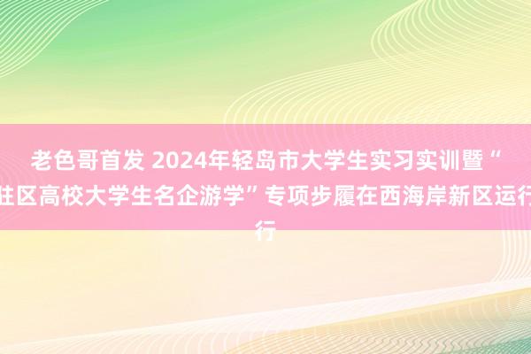 老色哥首发 2024年轻岛市大学生实习实训暨“驻区高校大学生名企游学”专项步履在西海岸新区运行