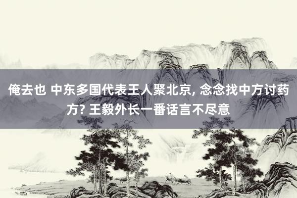 俺去也 中东多国代表王人聚北京， 念念找中方讨药方? 王毅外长一番话言不尽意