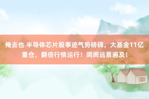 俺去也 半导体芯片股事迹气势磅礴，大基金11亿重仓，翻倍行情运行！阛阓远景遍及！