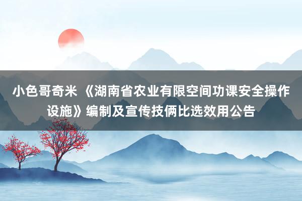 小色哥奇米 《湖南省农业有限空间功课安全操作设施》编制及宣传技俩比选效用公告