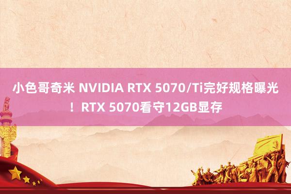 小色哥奇米 NVIDIA RTX 5070/Ti完好规格曝光！RTX 5070看守12GB显存