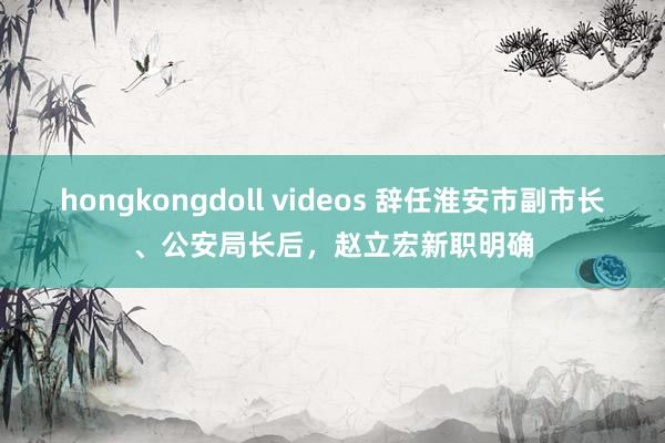 hongkongdoll videos 辞任淮安市副市长、公安局长后，赵立宏新职明确