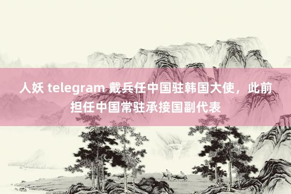 人妖 telegram 戴兵任中国驻韩国大使，此前担任中国常驻承接国副代表