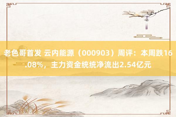 老色哥首发 云内能源（000903）周评：本周跌16.08%，主力资金统统净流出2.54亿元