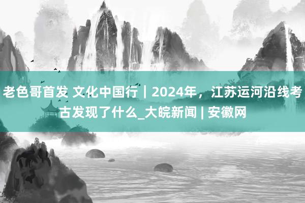 老色哥首发 文化中国行｜2024年，江苏运河沿线考古发现了什么_大皖新闻 | 安徽网