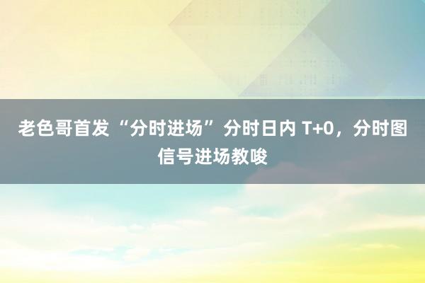 老色哥首发 “分时进场” 分时日内 T+0，分时图信号进场教唆