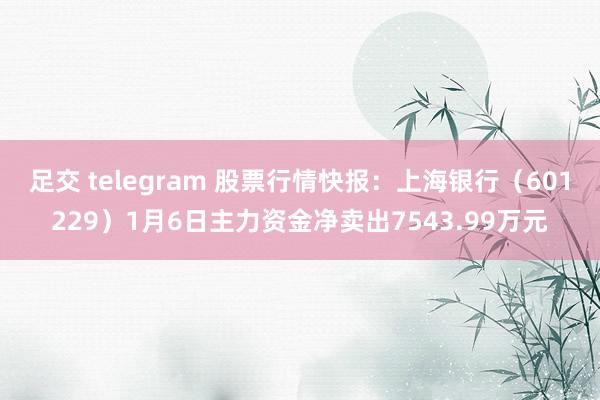 足交 telegram 股票行情快报：上海银行（601229）1月6日主力资金净卖出7543.99万元