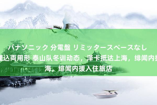 パナソニック 分電盤 リミッタースペースなし 露出・半埋込両用形 泰山队冬训动态，泽卡抵达上海，绯闻内援入住旅店