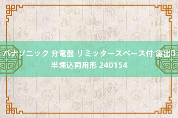 パナソニック 分電盤 リミッタースペース付 露出・半埋込両用形 240154