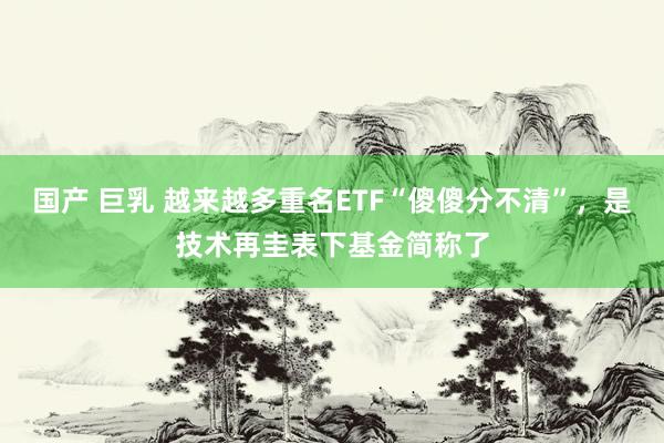 国产 巨乳 越来越多重名ETF“傻傻分不清”，是技术再圭表下基金简称了