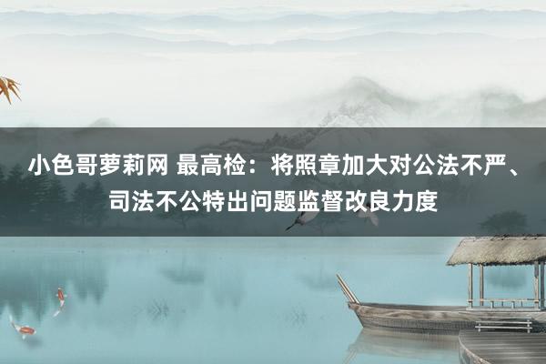 小色哥萝莉网 最高检：将照章加大对公法不严、司法不公特出问题监督改良力度